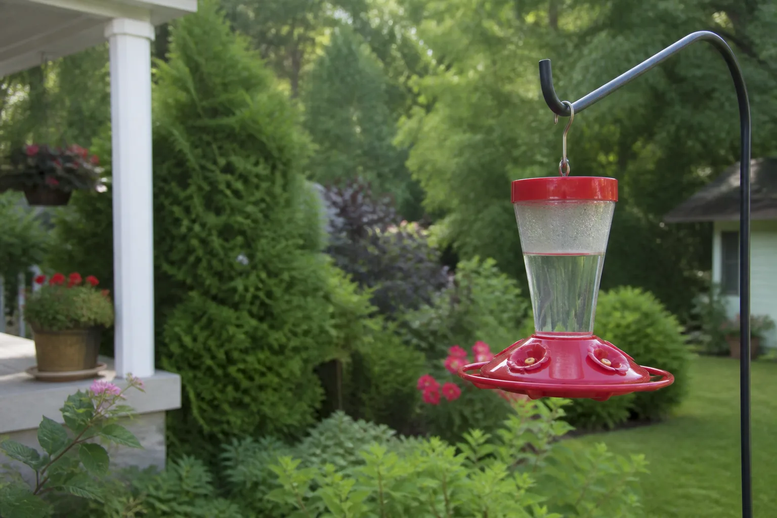 Red saucer-style hummingbird feeder hanging on a backyard porch hook in soft morning light