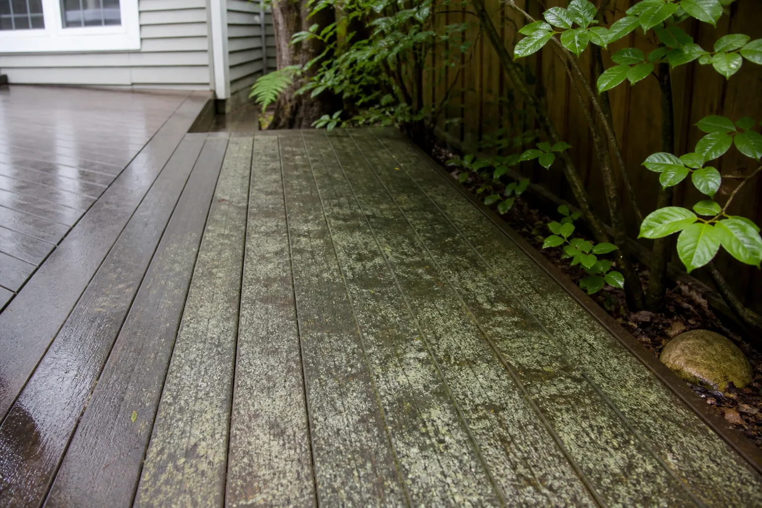 Outdoor wood deck and patio surface beside planted beds showing hardscape softened by greenery