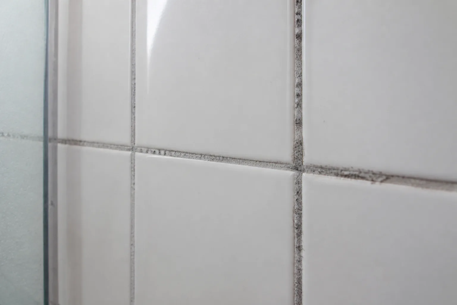 Surface mildew film along shower tile grout lines in a damp bathroom corner