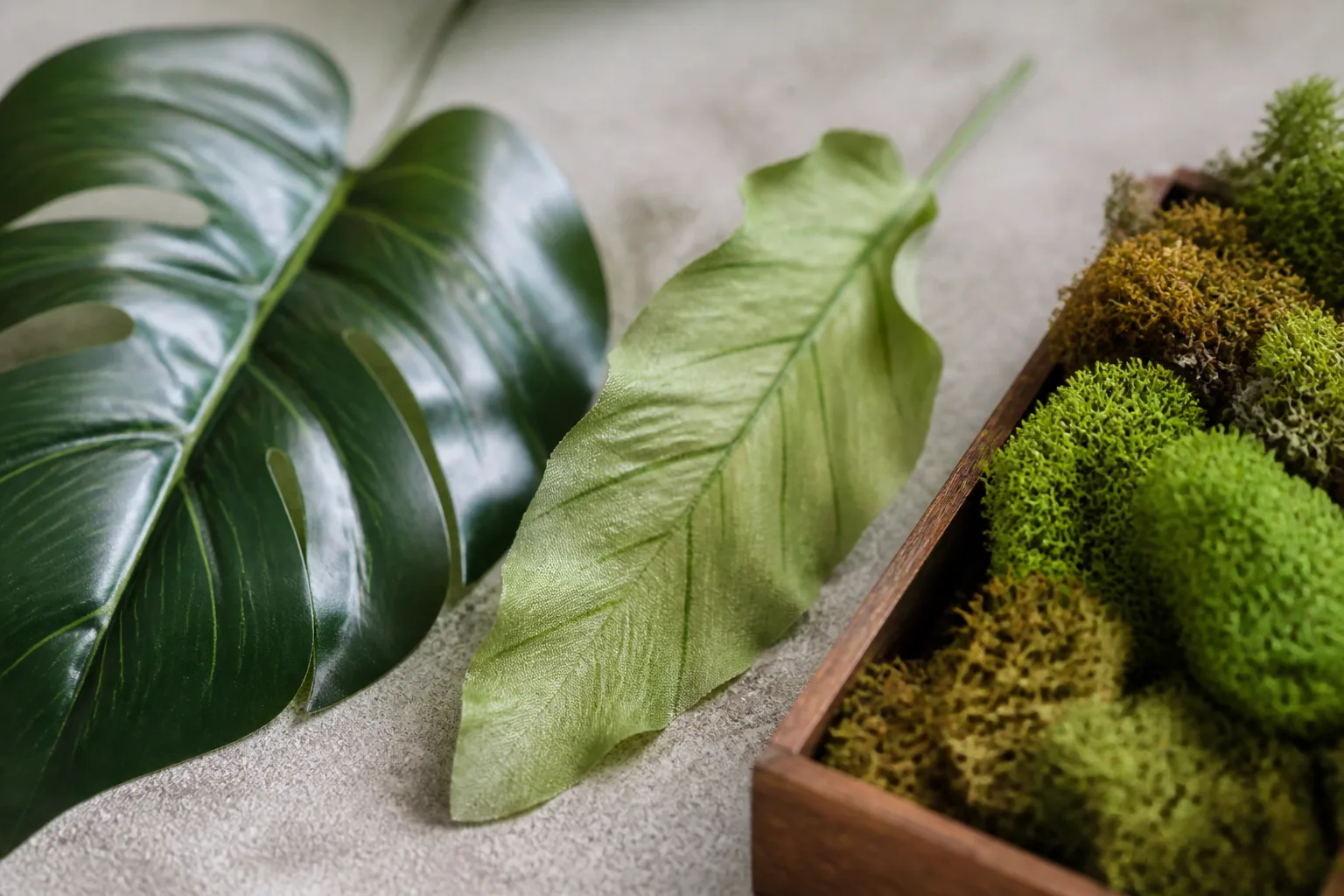 Close-up comparison of polyethylene, silk, and preserved moss artificial plant materials for online shopping