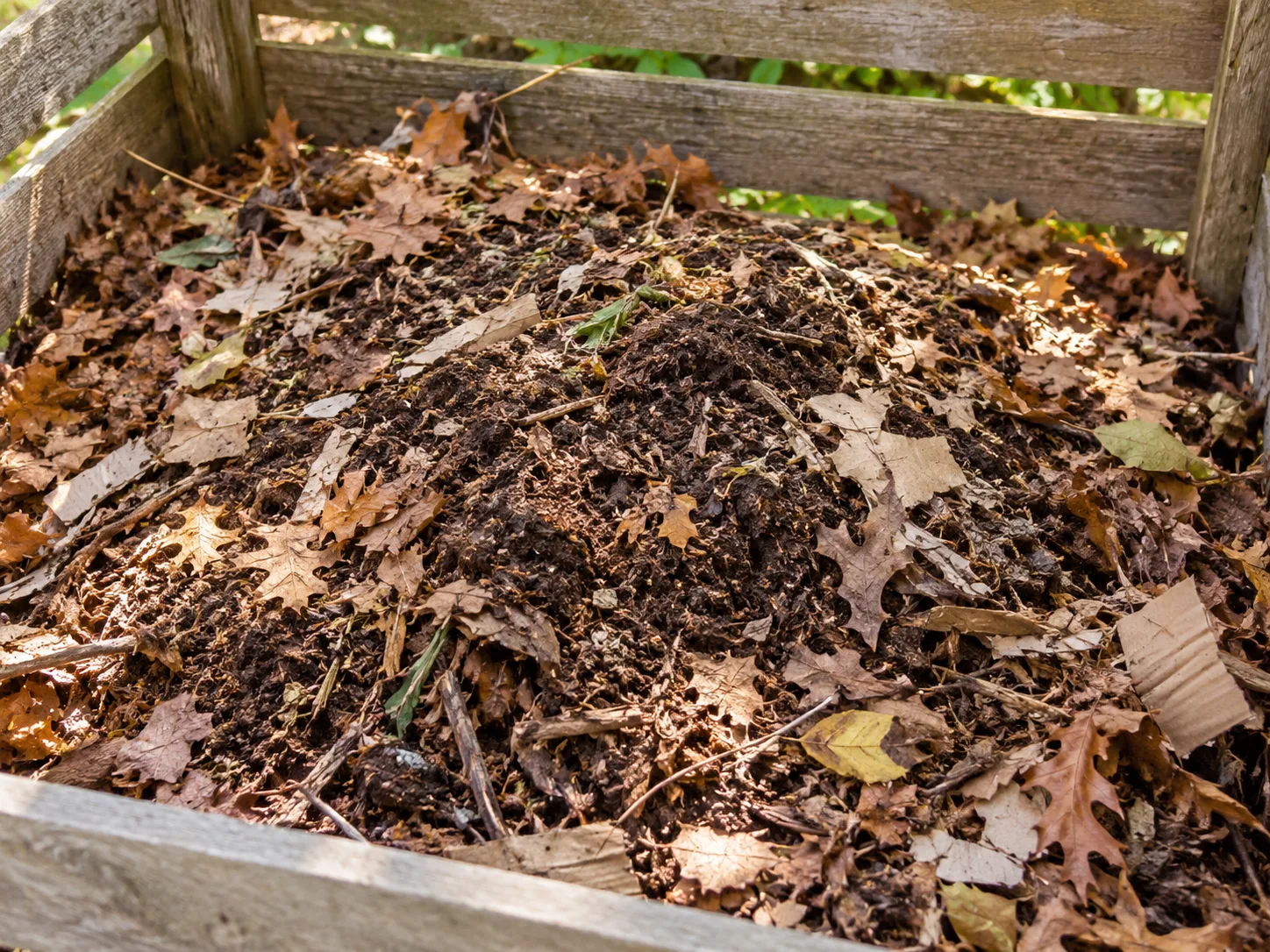 A covered compost pile with dry leaves and finished compost over a buried food pocket