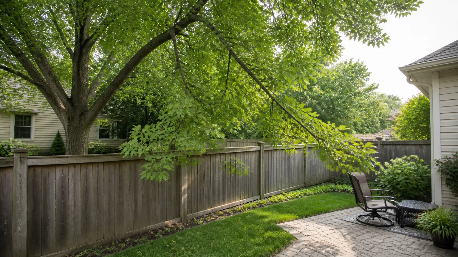Mature tree behind a wood fence with leafy branches overhanging a neighboring backyard patio