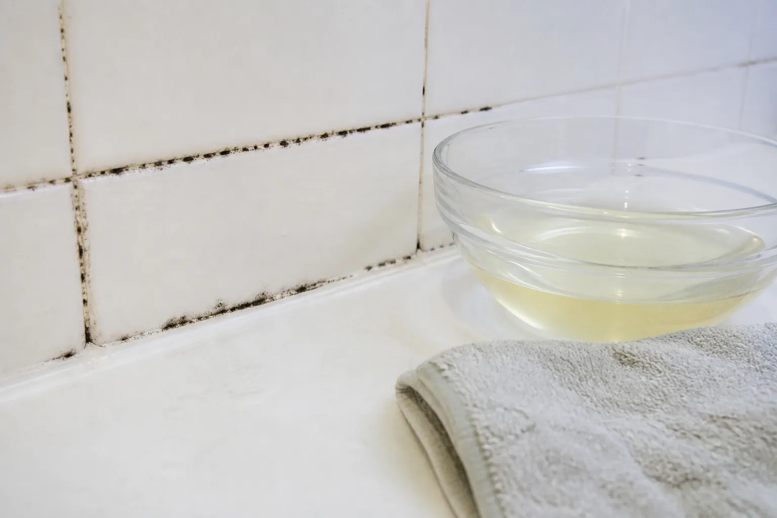 How Bleach Actually Works On Mold for how bleach actually works on mold