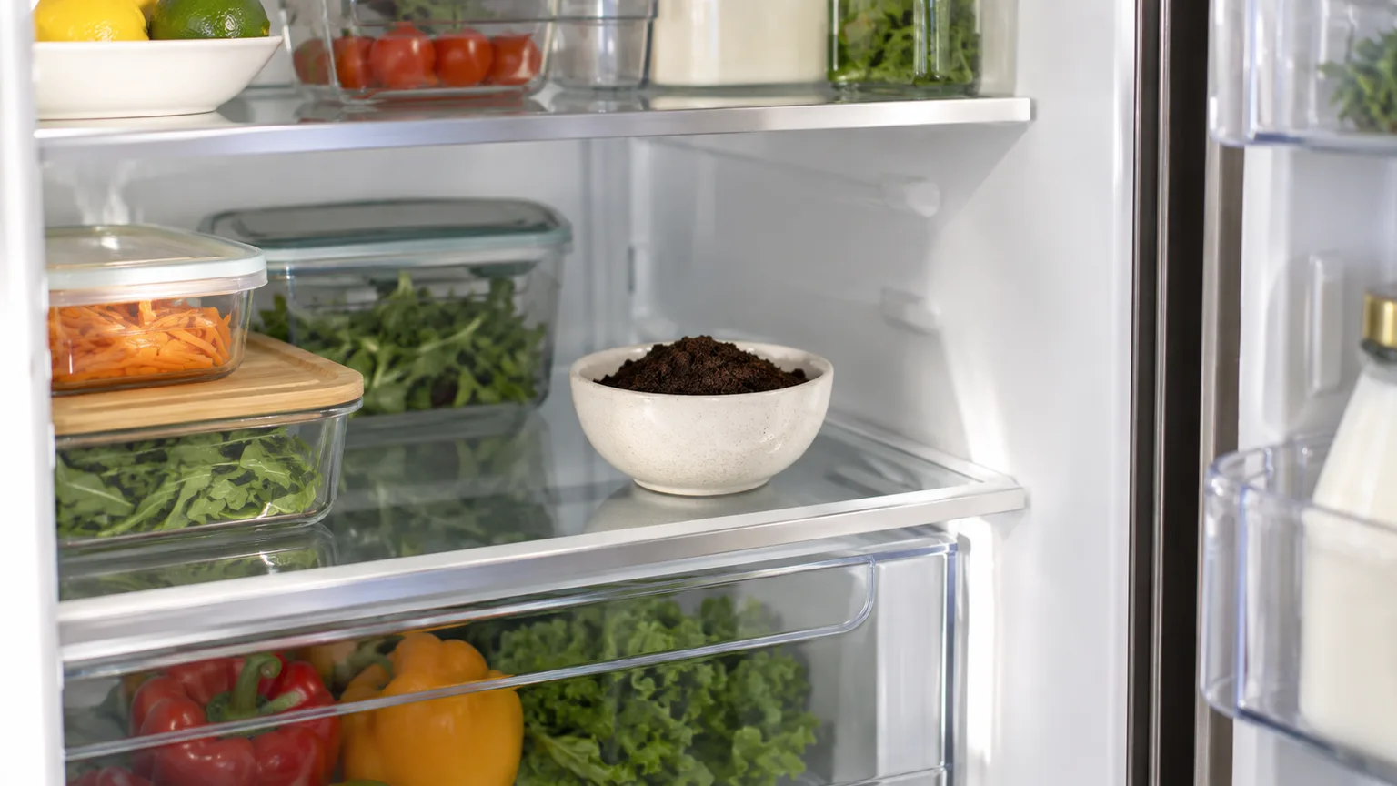 Shallow bowl of dry coffee grounds on a refrigerator shelf with sealed foods nearby
