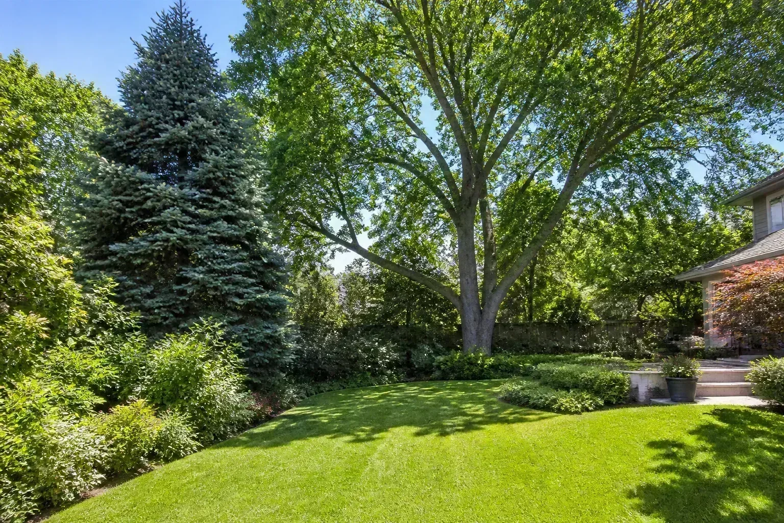 Suburban front yard with low-maintenance trees, defined planting beds, and balanced curb appeal