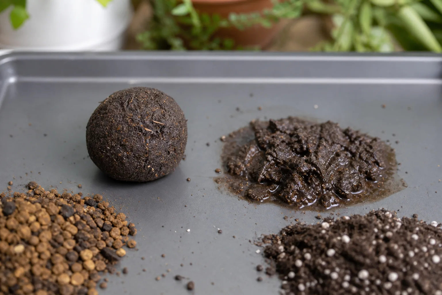 Hands performing the squeeze test on damp kokedama soil mix—formed ball on left, too-wet smear on right