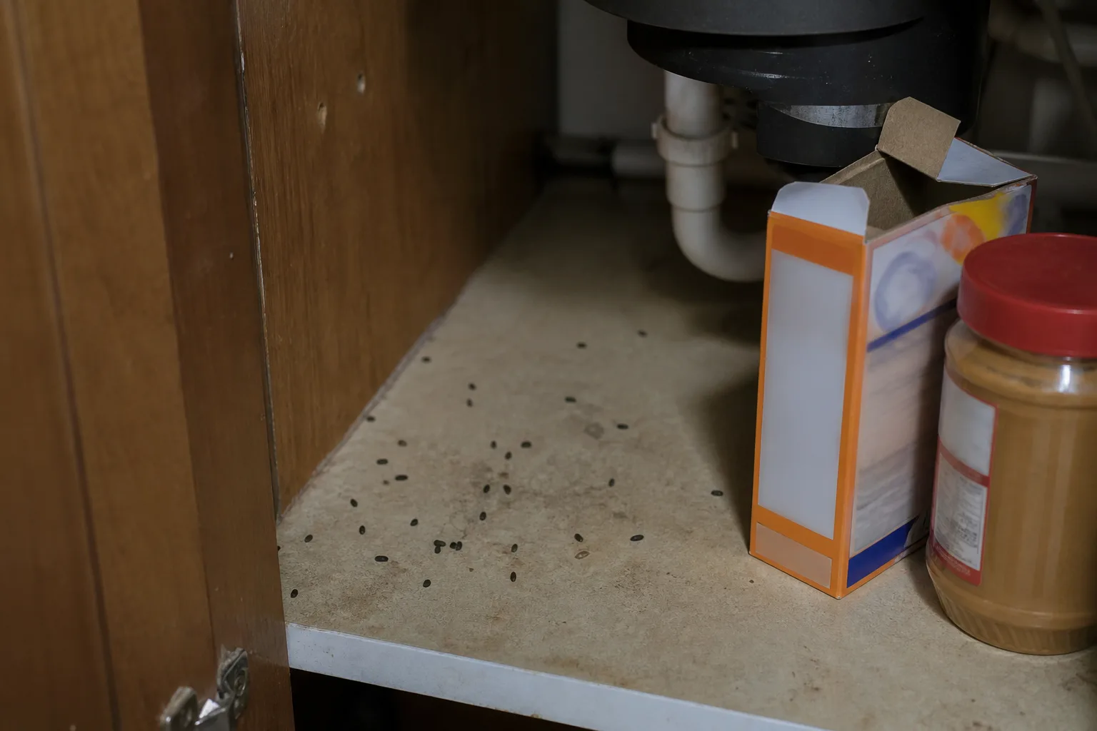 Mouse droppings on a kitchen cabinet shelf beside an open box of baking soda and a jar of peanut butter