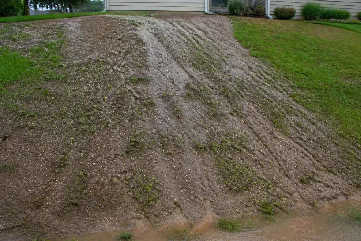 Why Unrooted Grass Seed Is So Vulnerable To Storms for why unrooted grass seed is so vulnerable to storms