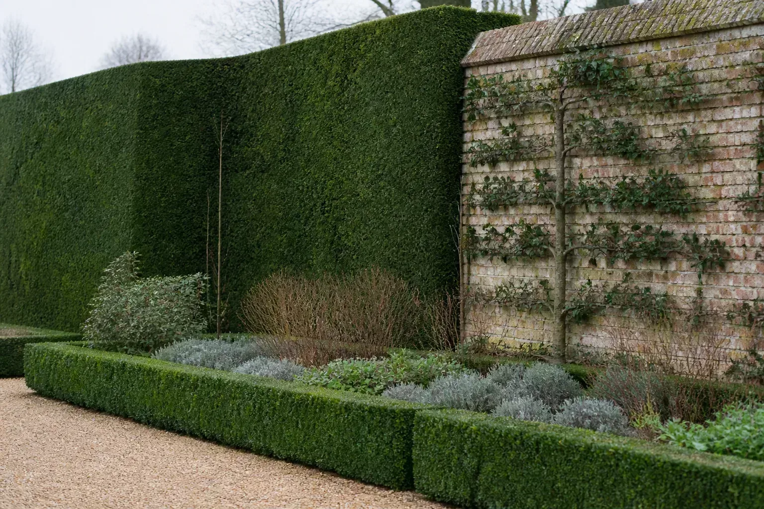 Structure Hedges Walls And Evergreen Bones for structure: hedges, walls, and evergreen bones