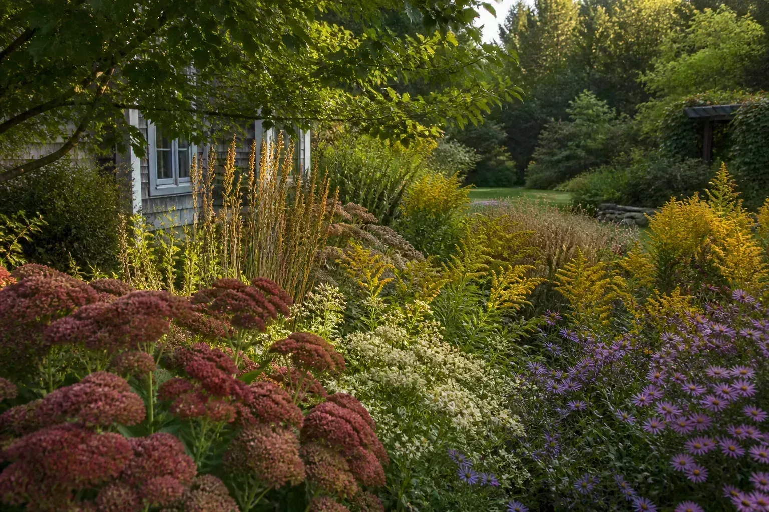 Mixed late-summer perennial flower border with sedum, asters, and golden blooms in warm afternoon light
