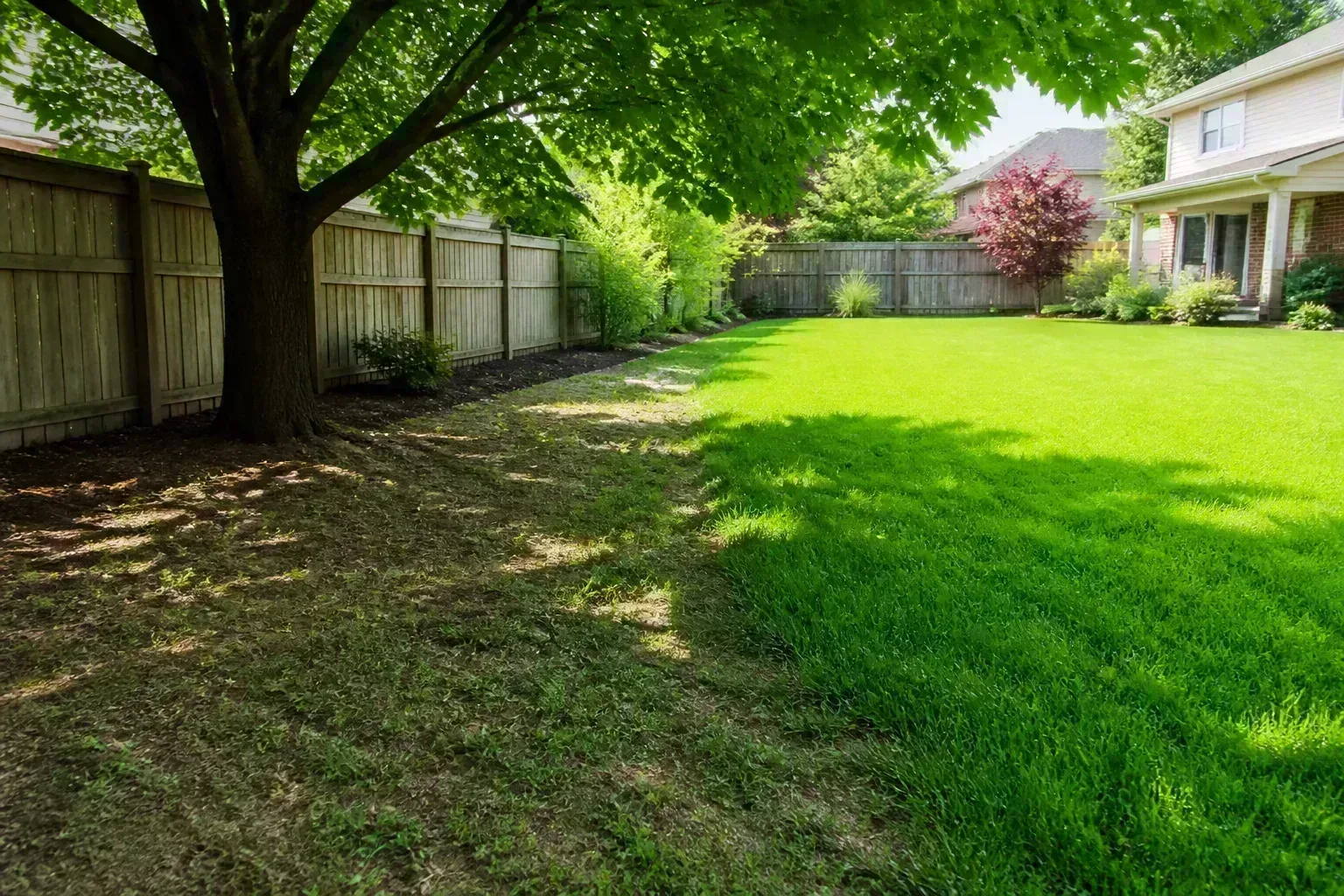 2 The Wrong Sun Shade Balance For Your Grass Type for 2. the wrong sun/shade balance for your grass type