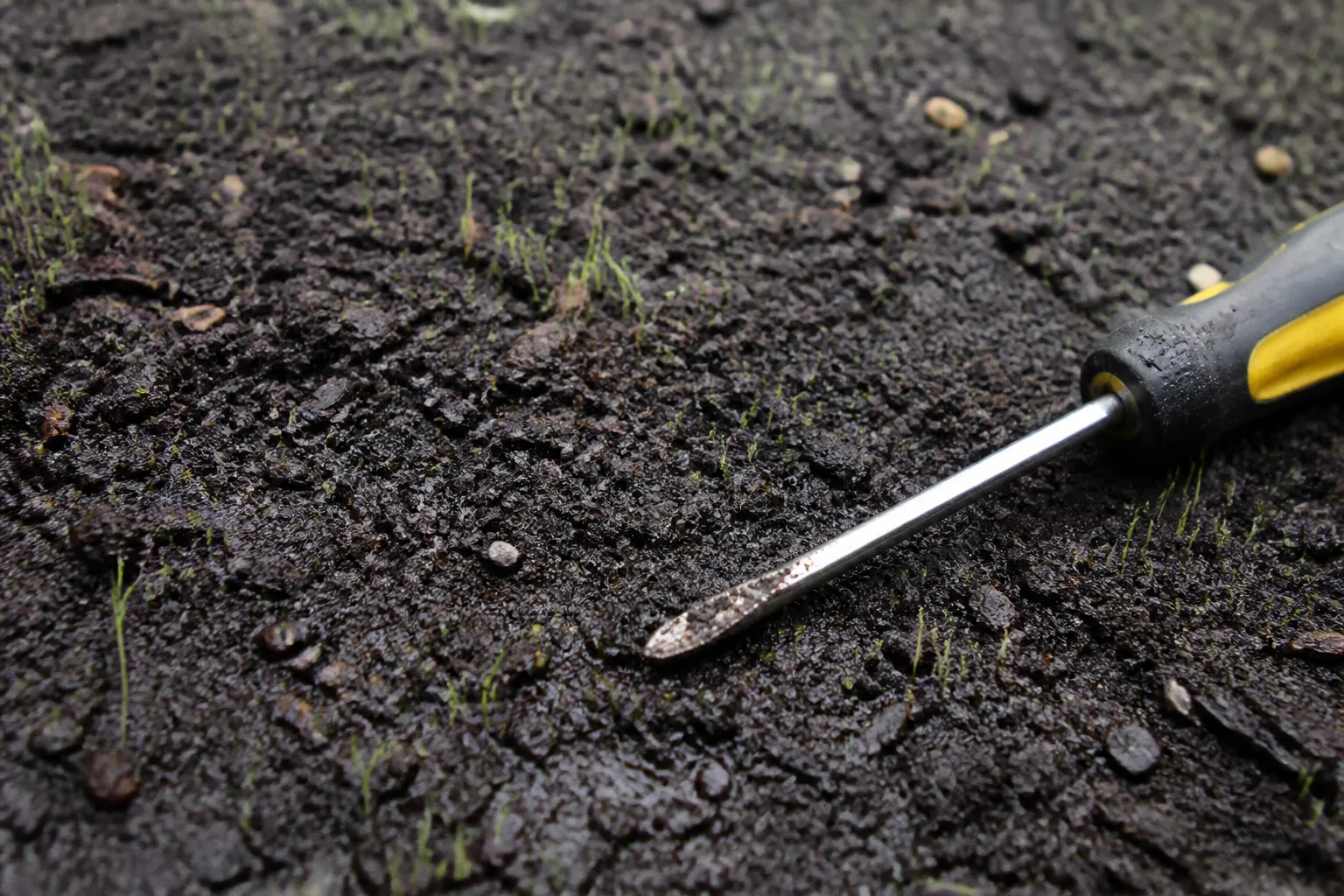 Keep new turf moist during rooting without flooding the soil