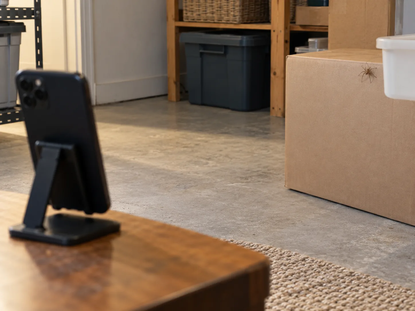 A phone is positioned across the room from a small brown spider on a storage box.