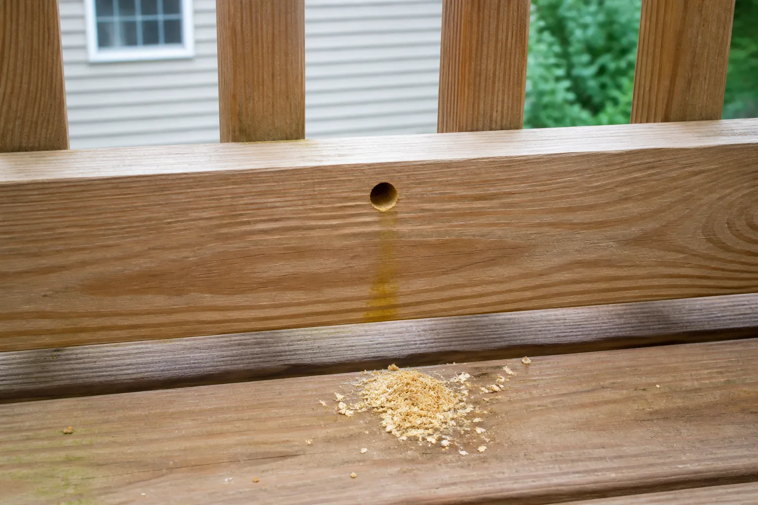 Perfectly round carpenter bee drill hole in unpainted deck rail with coarse sawdust pile below