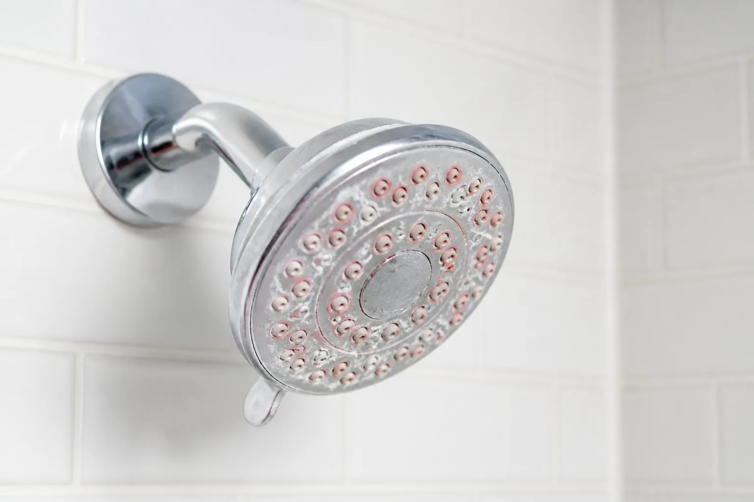 Chrome showerhead on white bathroom tile with faint pink biofilm residue around spray nozzles