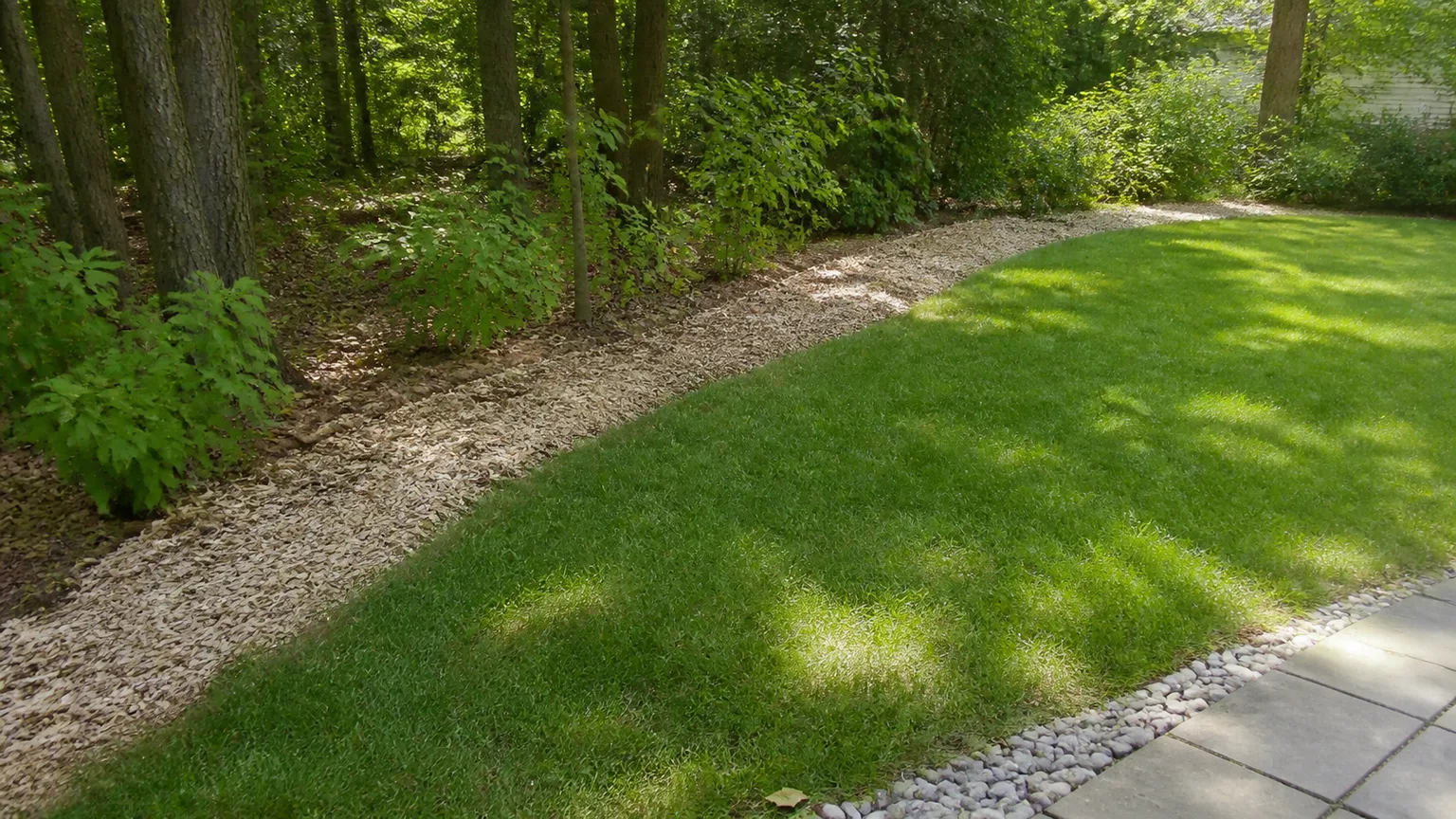 Maintained backyard lawn separated from a shaded woodland edge by a clear tick-safe transition strip