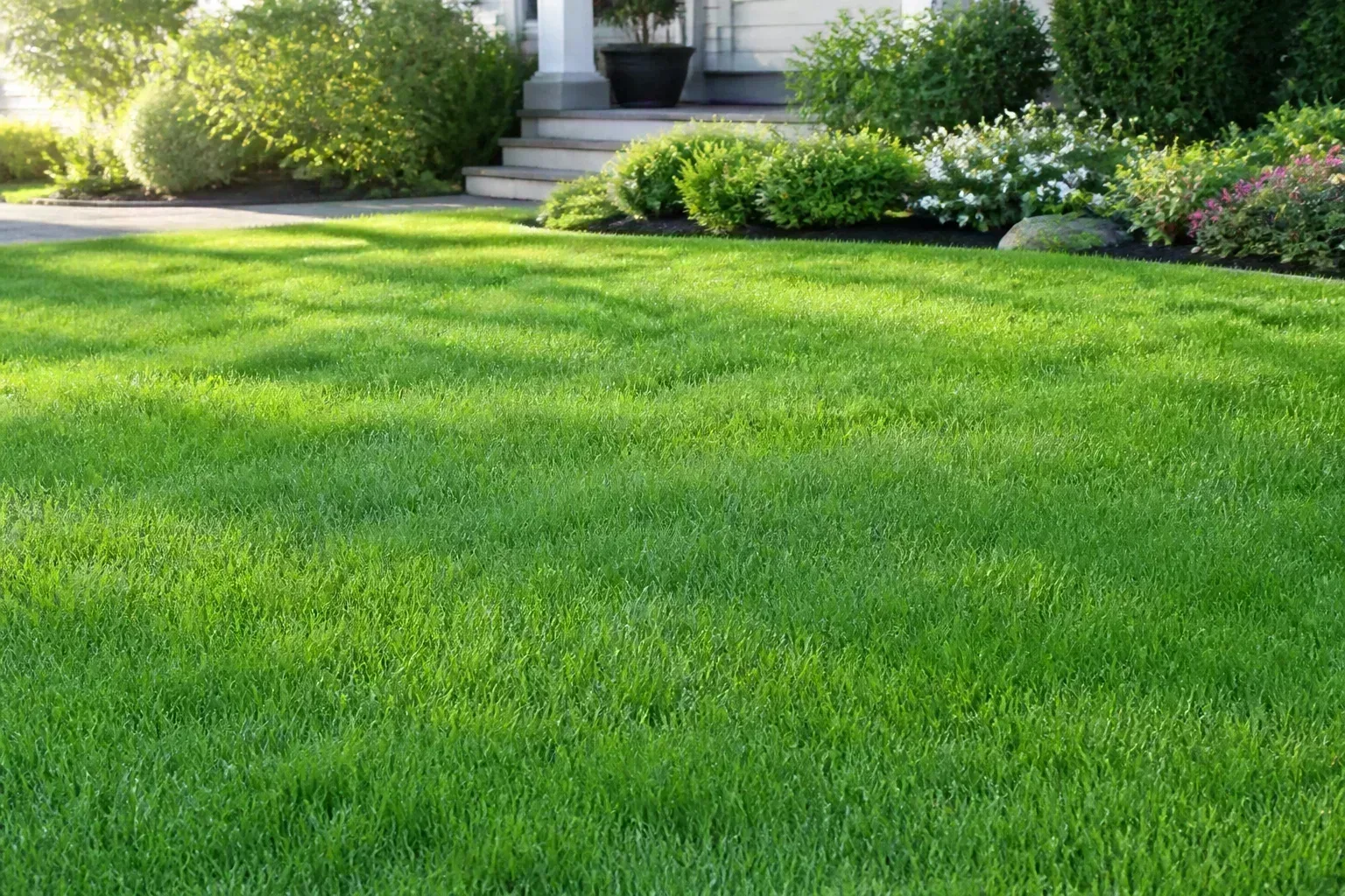 Hero illustrating 5 ways to help your lawn grow faster this season