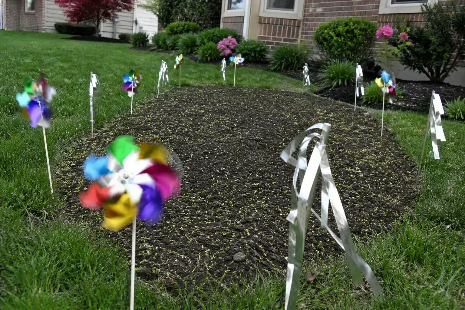 Reflective tape and old discs hung along a garden fence line