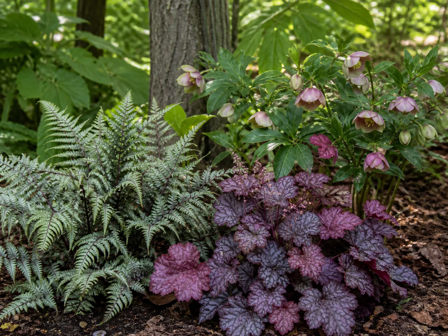 Japanese painted fern, coral bells, and hellebores fill a woodland-edge shade bed as hosta alternatives