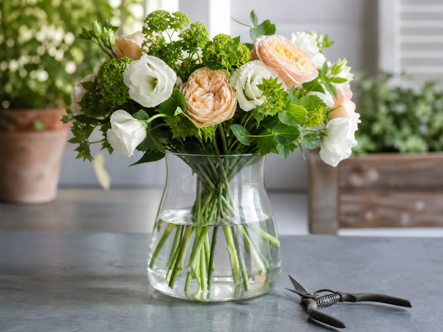 Conditioned flower stems in clean vase water with lower leaves removed and floral snips nearby