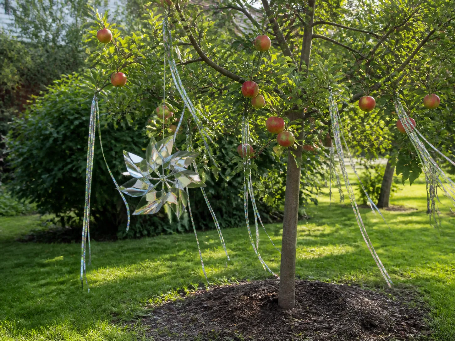 Reflective bird-deterrent streamers and a lightweight moving spinner positioned around a backyard fruit tree