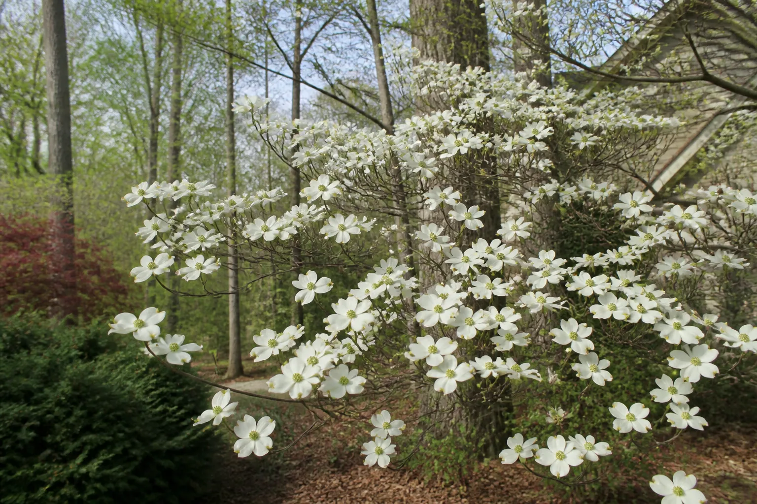 The Spring Mistake To Avoid for the spring mistake to avoid