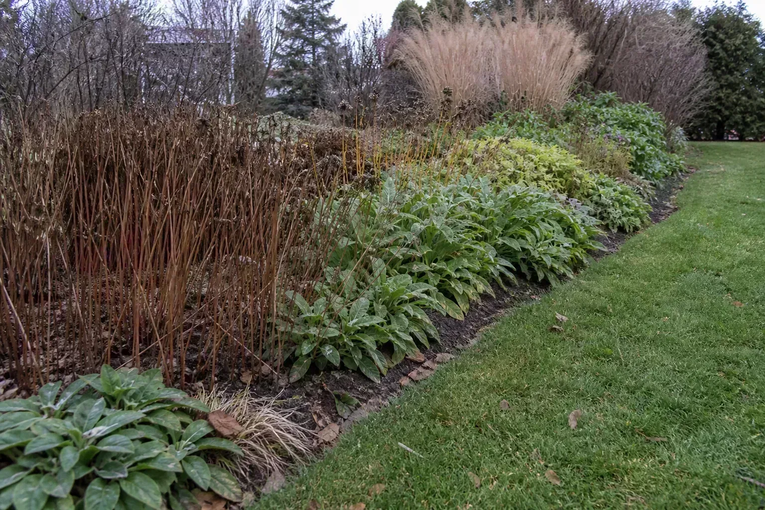 Why November Timing Confuses Gardeners for why november timing confuses gardeners