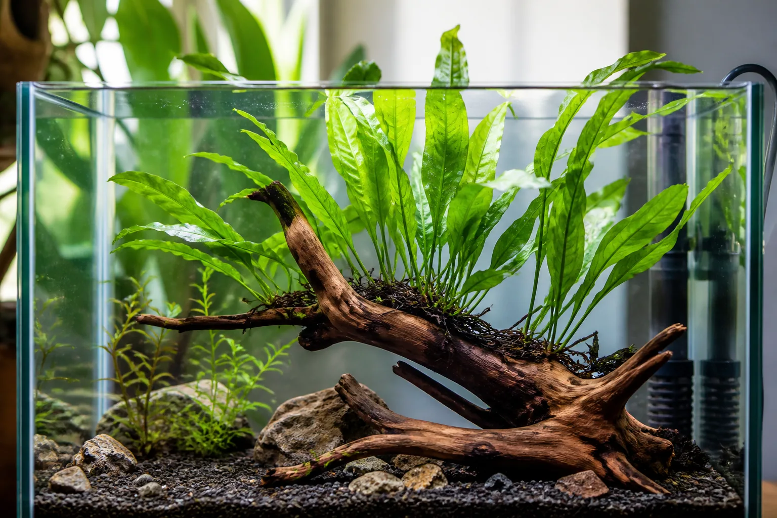 Tank Notes From Our Editorial Setups for tank notes from our editorial setups