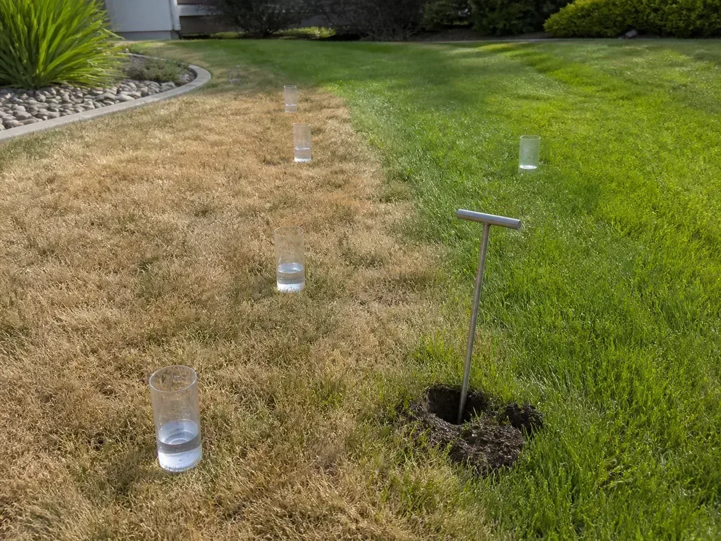 Checking lawn soil moisture by hand to decide whether irrigation is needed