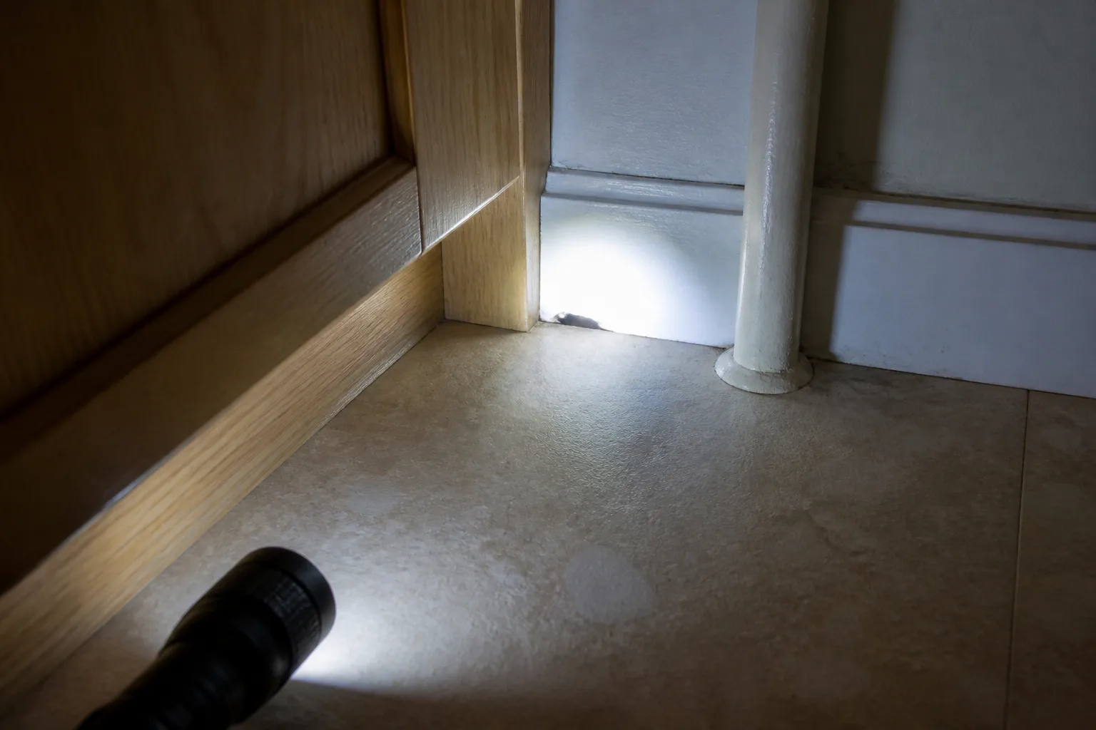 How To Inspect Your Home Like You Are Hunting For A Leak for how to inspect your home like you are hunting for a leak