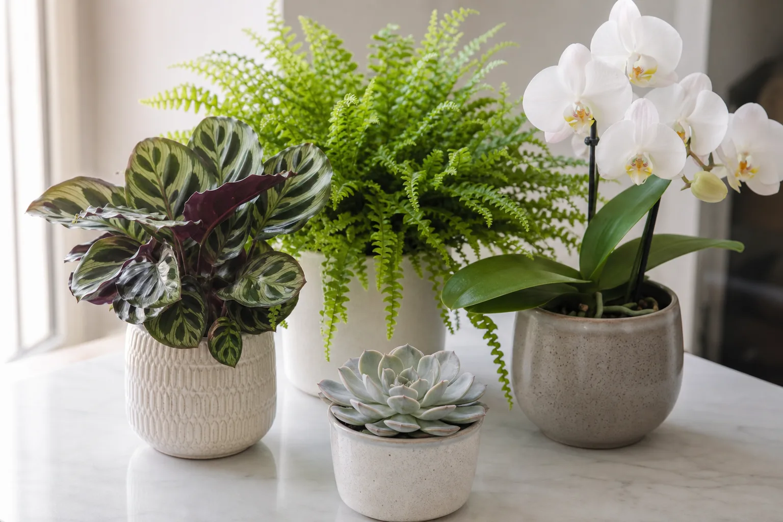 Plants You Should Never Spray With Neem Oil for plants you should never spray with neem oil