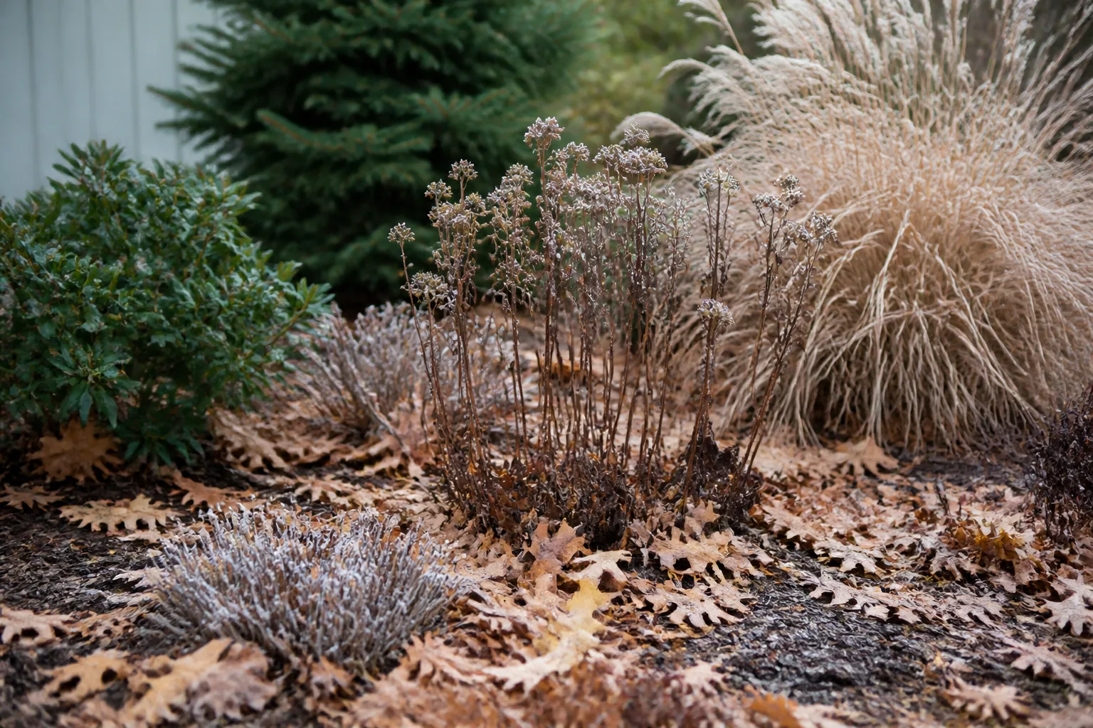 Hero illustrating 7 november gardening mistakes that cost you in spring