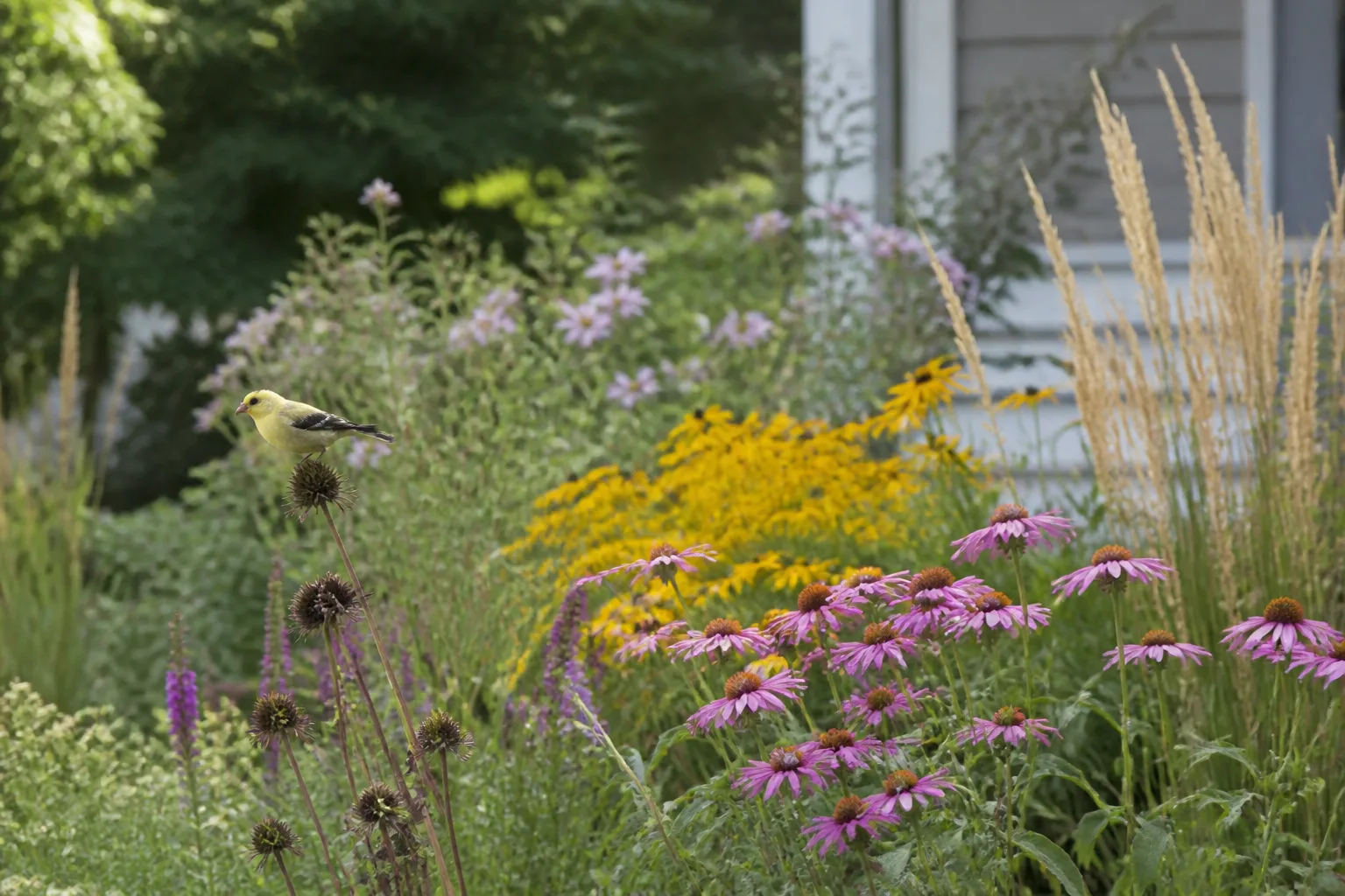 5 Native Plants As A Purity Test for 5. native plants as a purity test
