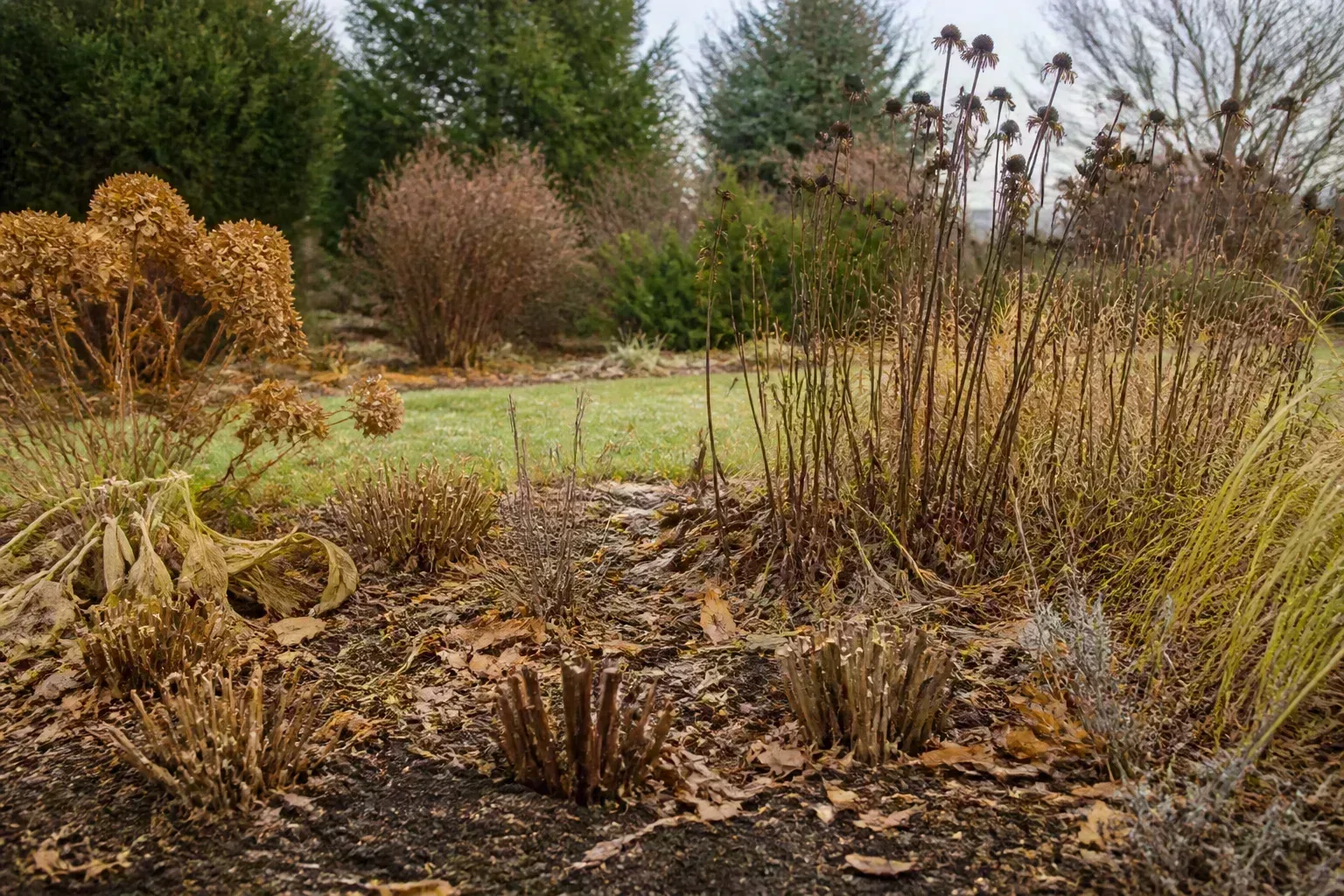 Perennial garden in late autumn after selective fall cutback with trimmed stubs and plants left standing