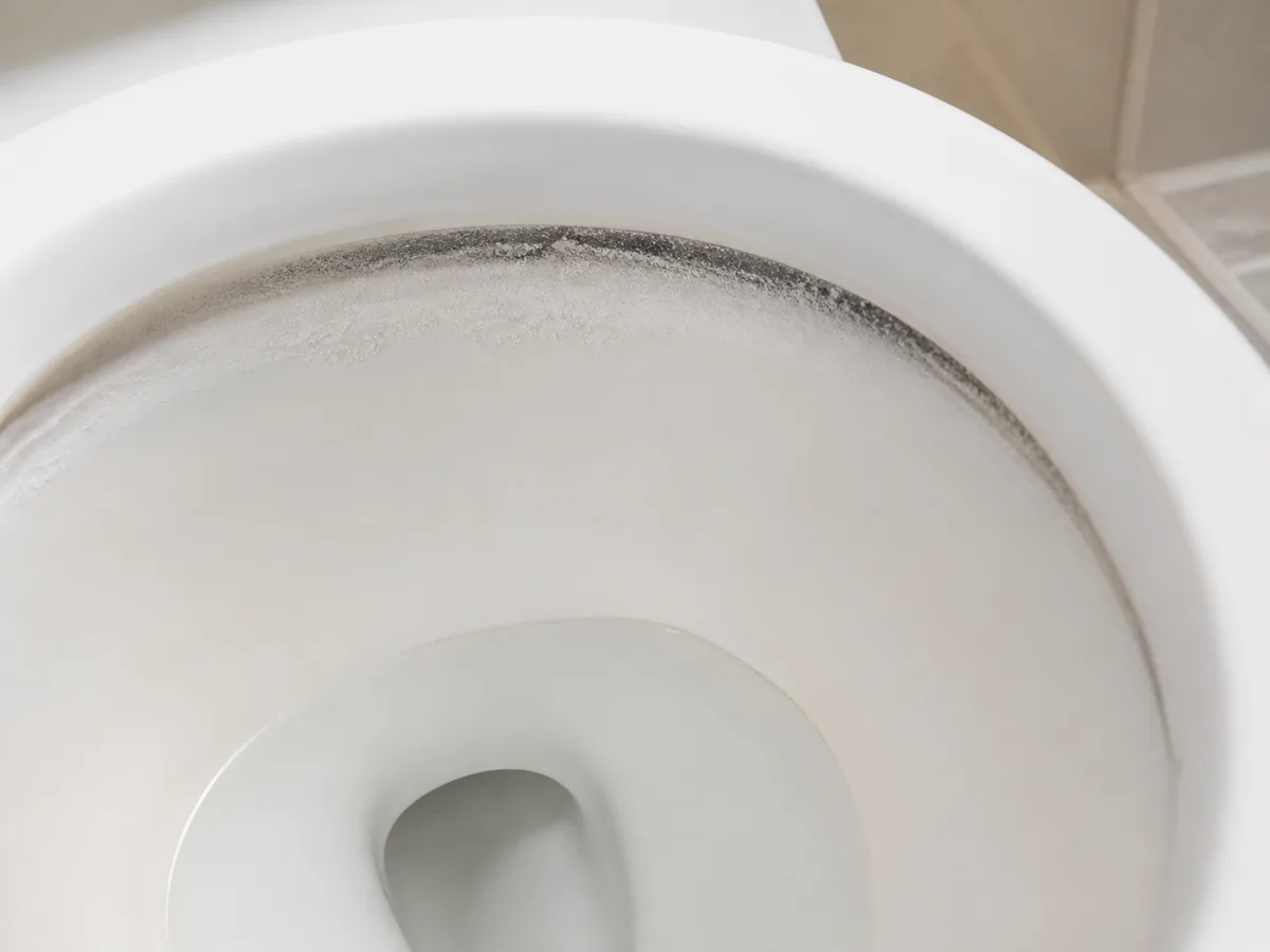 Recurring dark buildup along the waterline inside a white toilet bowl