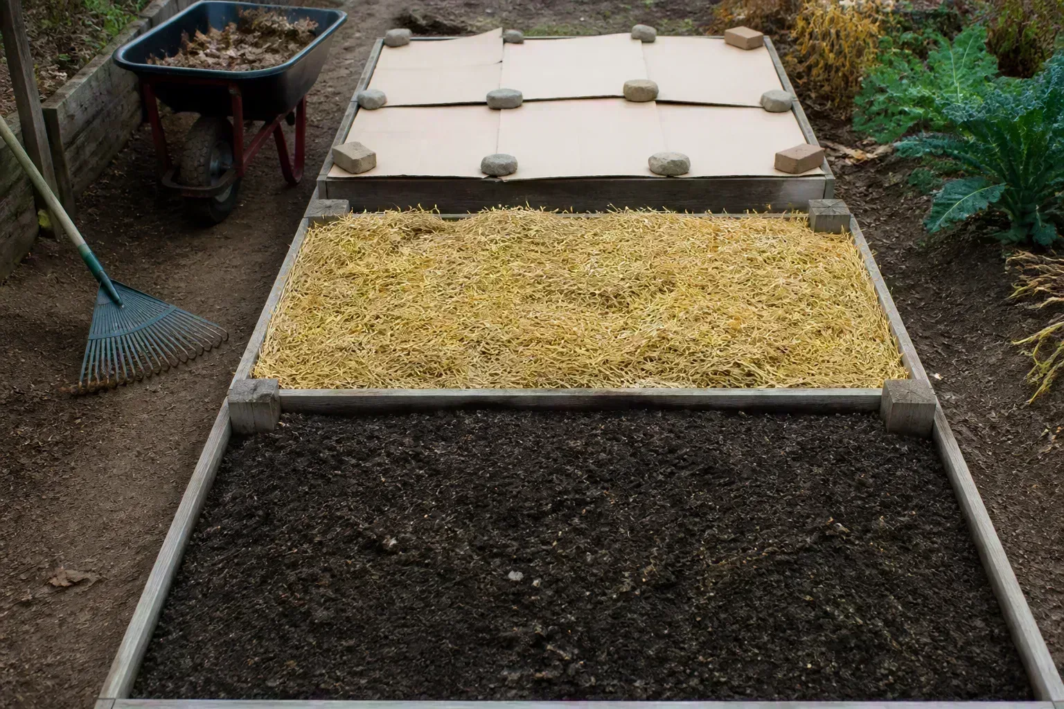 Empty raised bed layered with compost, straw mulch, and cardboard anchored with stones for winter protection