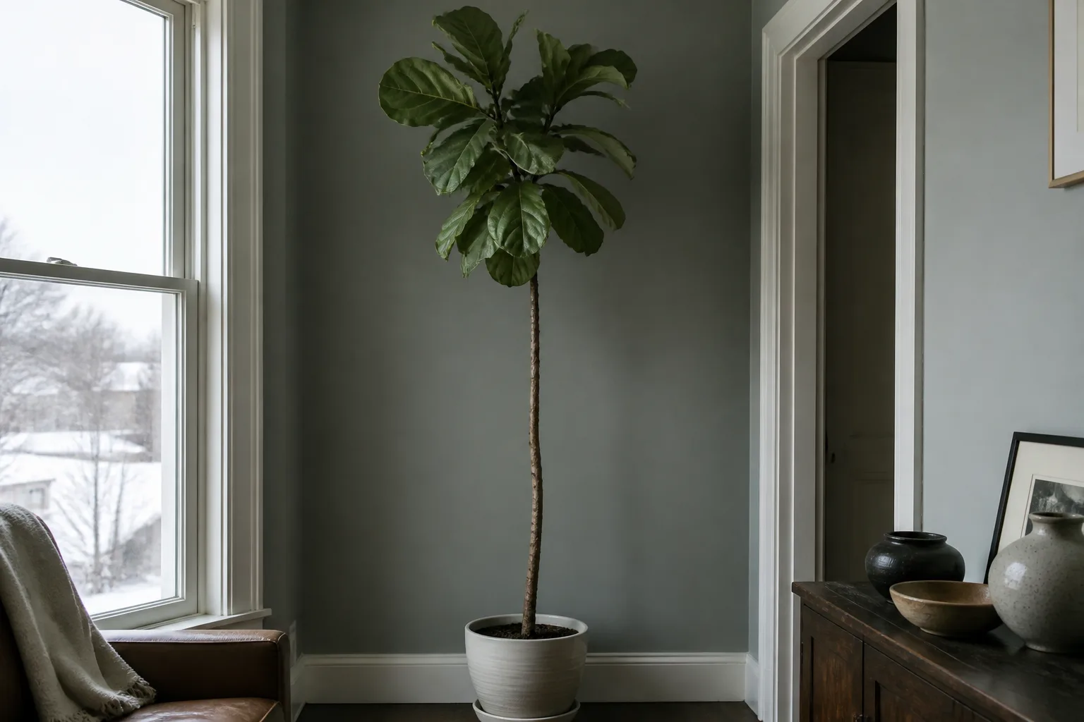 What To Avoid Pruning Before Winter for what to avoid pruning before winter