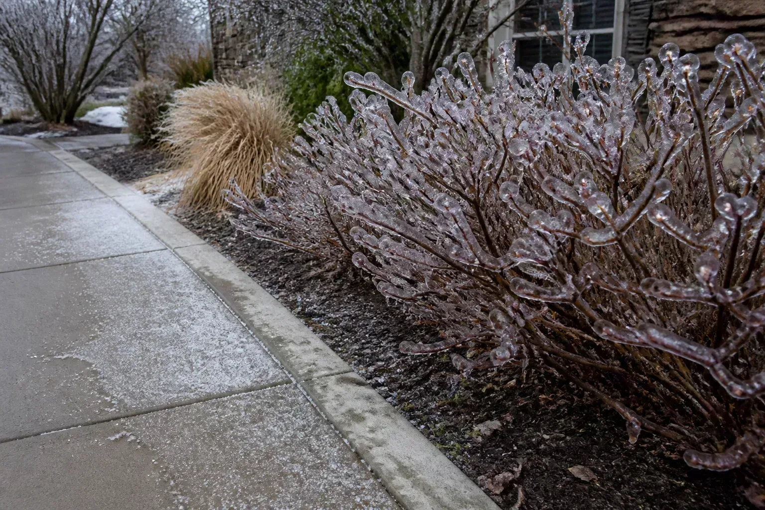 Rock salt and ice melt residue along a paved walkway edge near dormant winter turf
