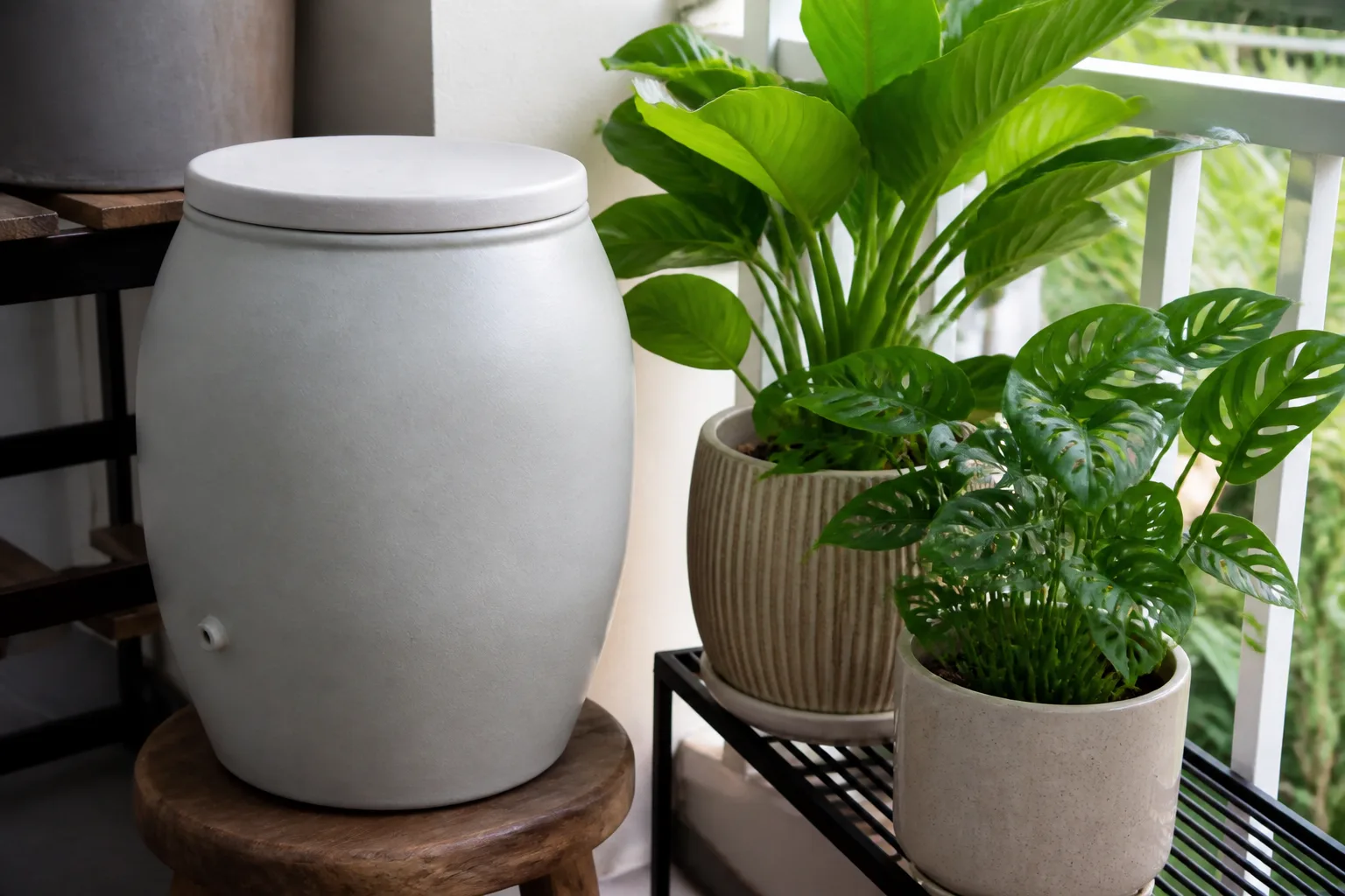 Covered rainwater collection jug ready for houseplant watering
