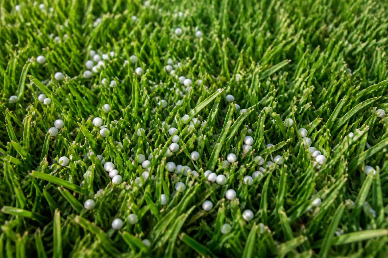 White granular pre-emergent herbicide granules on green turf grass