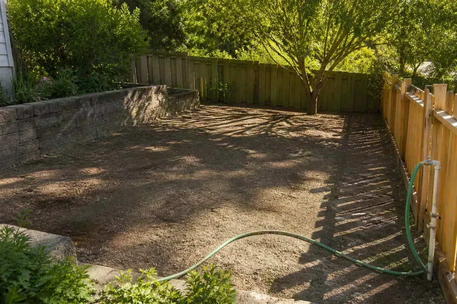 Sunny backyard plot showing sun patterns and drainage before vegetable garden planting
