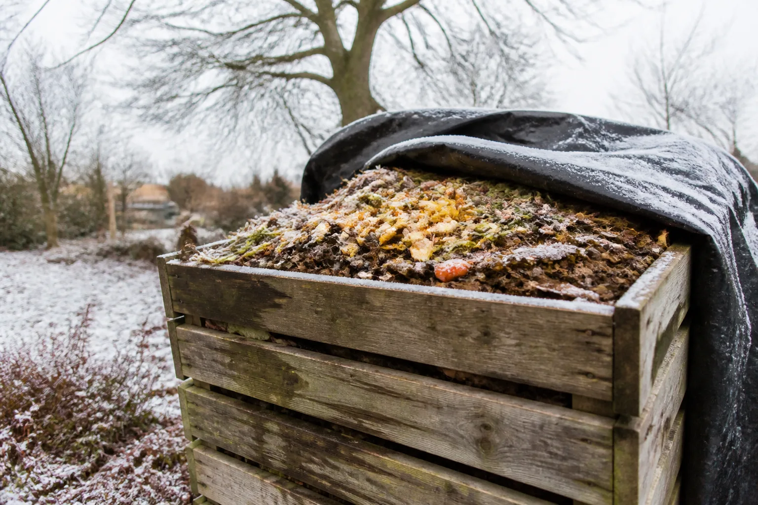 Wooden backyard compost bin with a tarp cover, light snow on the ground and frost on the edges in winter
