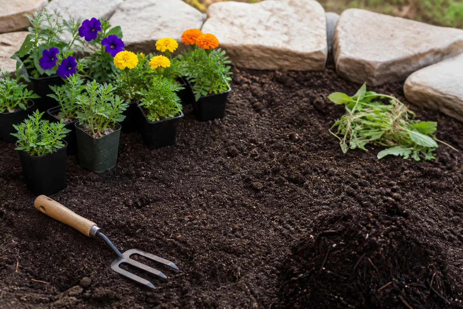 Prep The Spot So Fill In Plants Actually Spread for prep the spot so fill-in plants actually spread