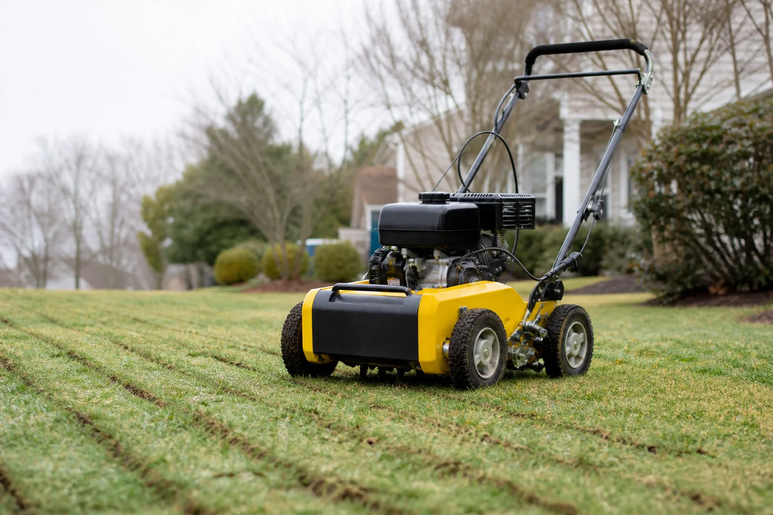 Walk-behind slit-seeder on a cool-season lawn with visible seeding grooves in the turf