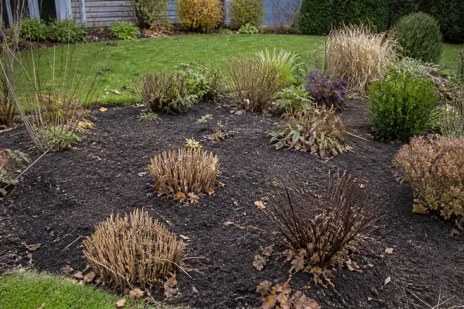 The Forgotten Step Is Winter Mulch Not Your Spring Layer for the forgotten step is winter mulch — not your spring layer