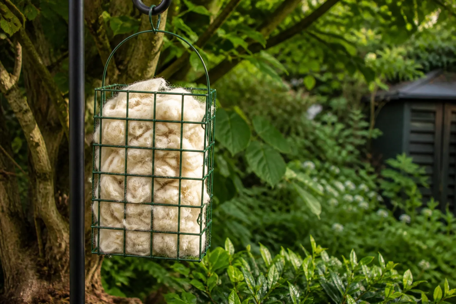 Short snippets of natural wool fiber in a wire suet cage hanging in a leafy backyard garden