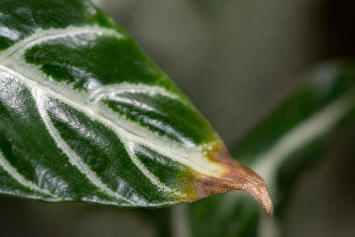 Temperature And Humidity Indoors for temperature and humidity indoors